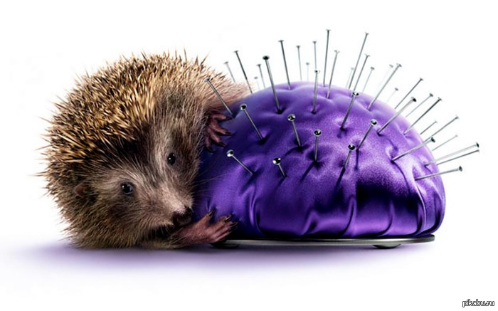 Поиграем? Предлагаю всем известную игру в ассоциации, но только с помощью картинок. постить первое что пришло в голову на эту тему - в этом вся фишка. Поехали!