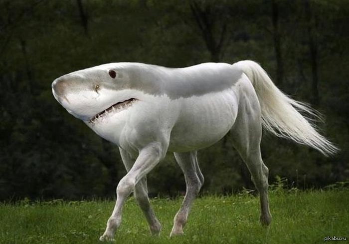  ?) 