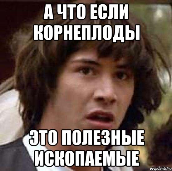 Уходим по одному если что мы геологи. Полезные ископаемые мемы. А что, если?... Корнеплод Мем. Мемы а что если.