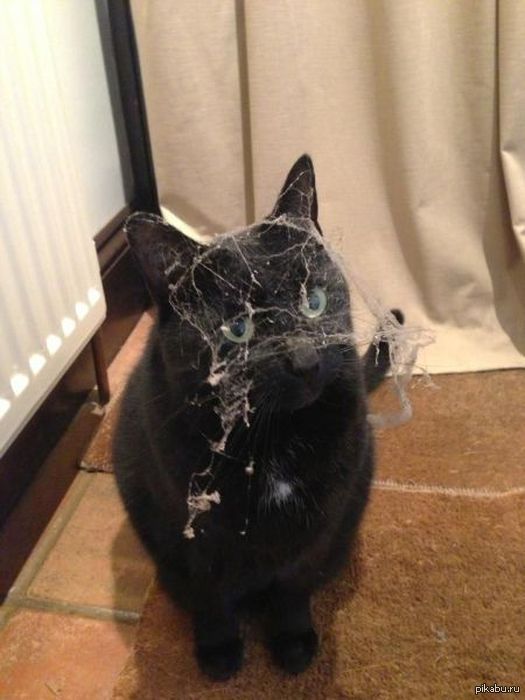 - "������, �� �� �� ������� ��������� ���-��..."