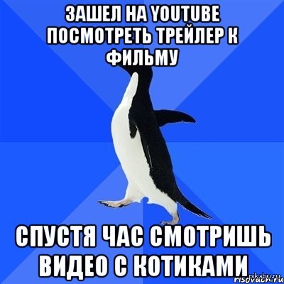 Anything interesting. Пингвин социофоб. Пингвин социофоб мемы. Социофоб Мем. Мем социально неуклюжий Пингвин.