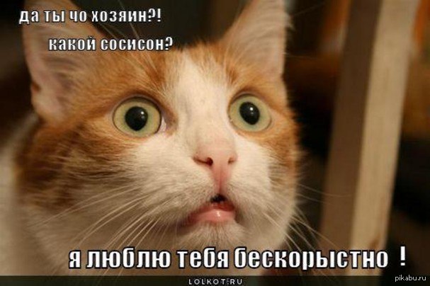 Бескорыстная любовь | Пикабу