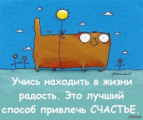 лучи добра) | Пикабу