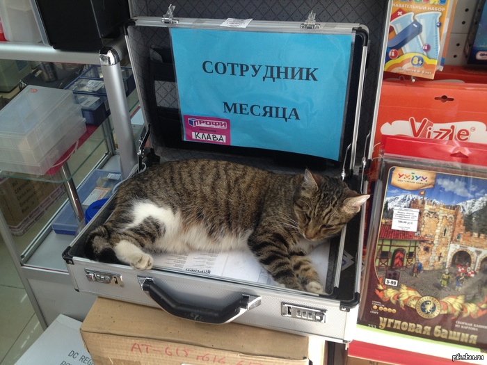 ��-��-��!)) �����������, �����!)