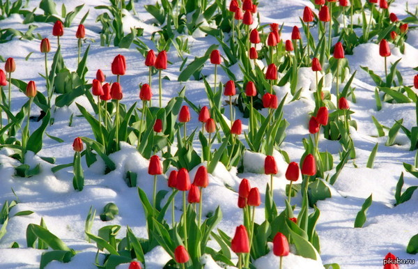 8 �����!!! ���������� ����