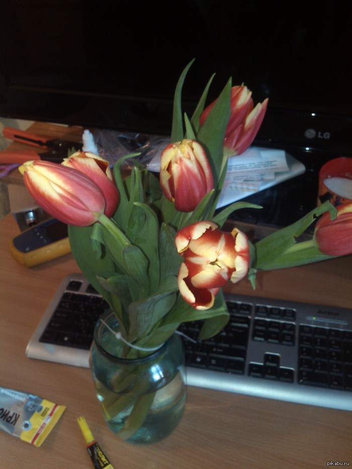 ������ �� �������, ���� ��������� �����.