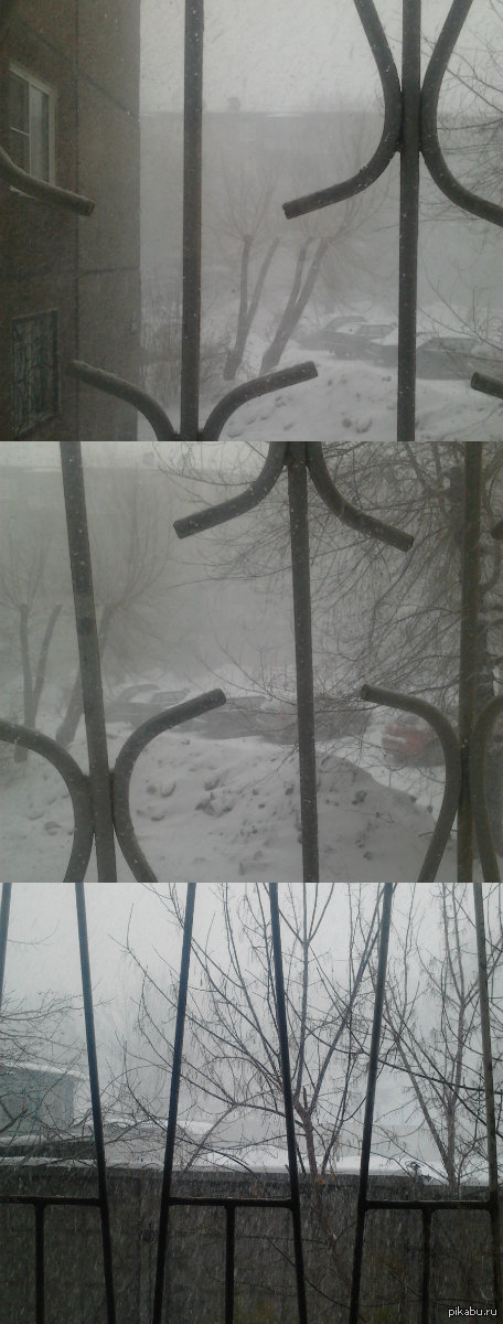  -  . -     . ,      :  ,     -19 ...    .   ..