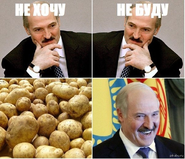 Шутки Про Белорусов