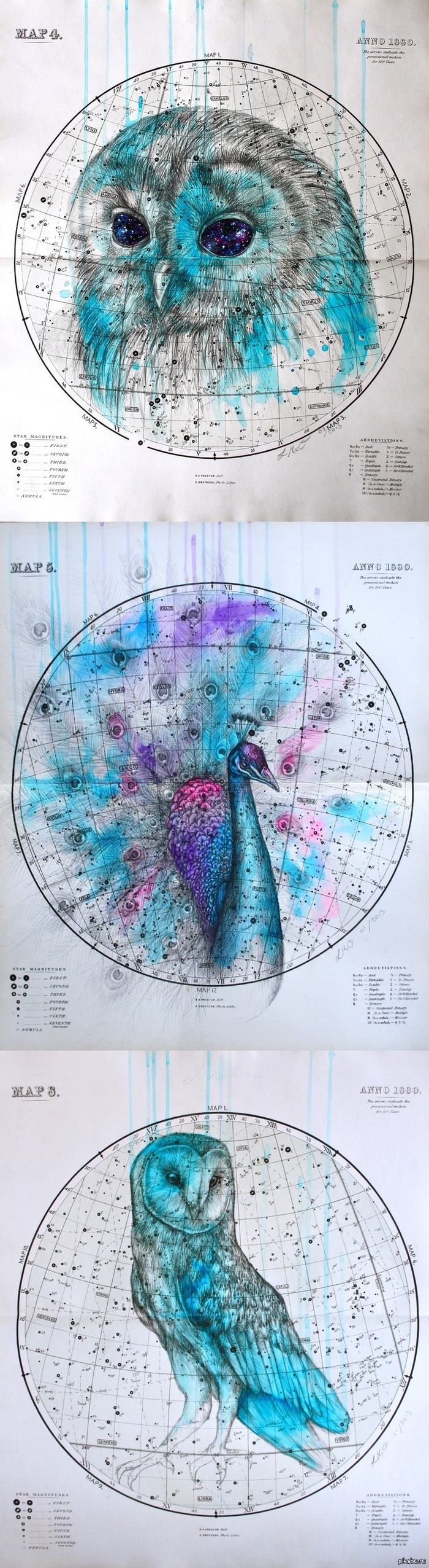 "Heavenly Bodies"