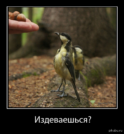  )) 
