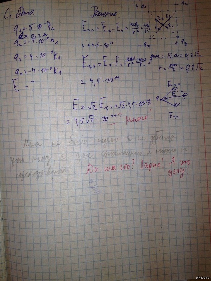 � ������ ���� �������