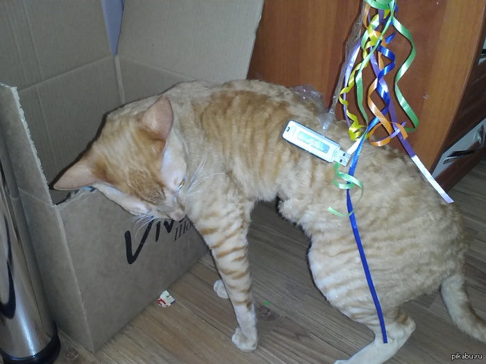 ЛБОРКуФ (Алексей Бабушкин) | Пикабу