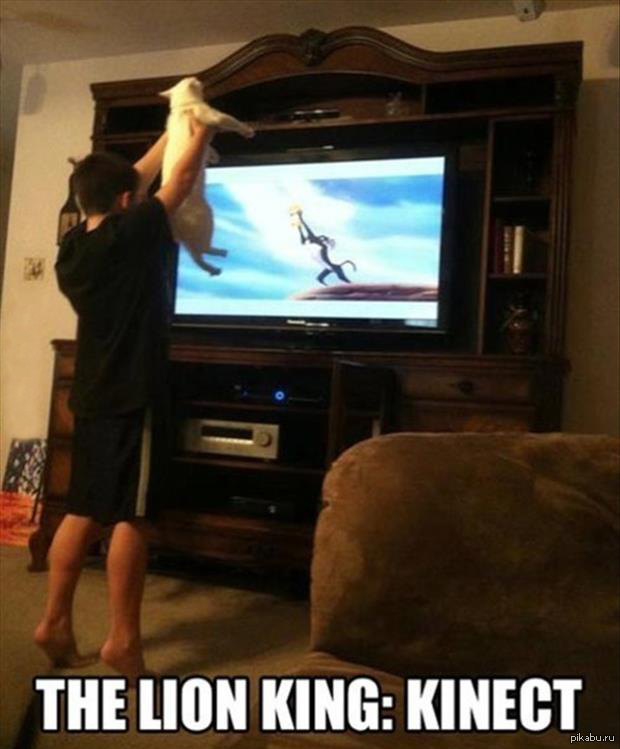 Lion King 