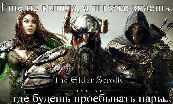   The Elder Scrolls   