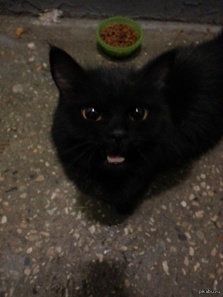 ������ �������.