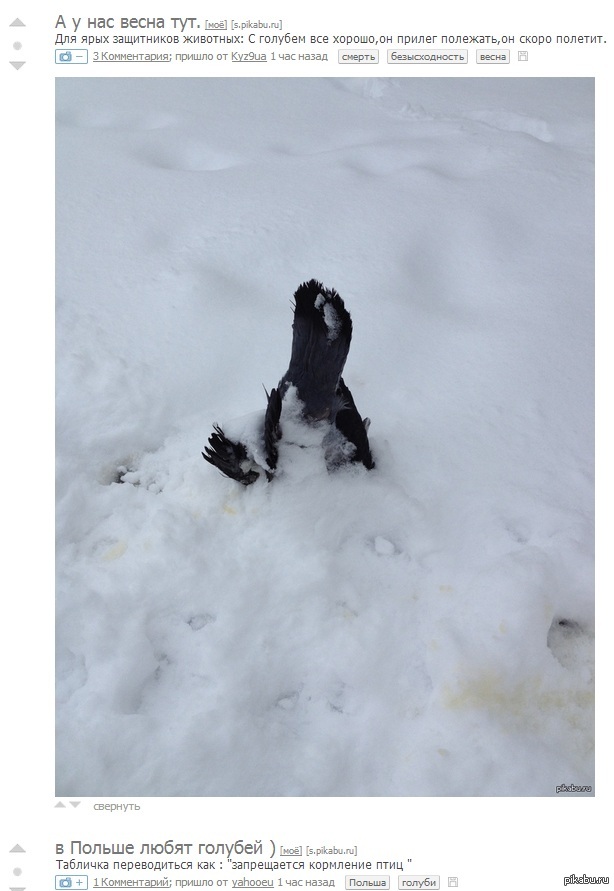 Пикабу радует совпадениями :)