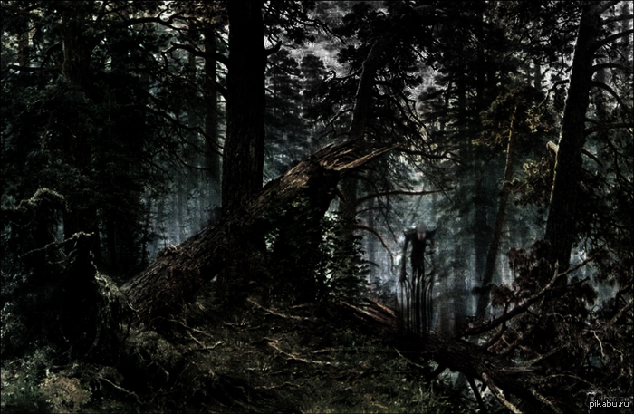 ������� ����� � �������� ����