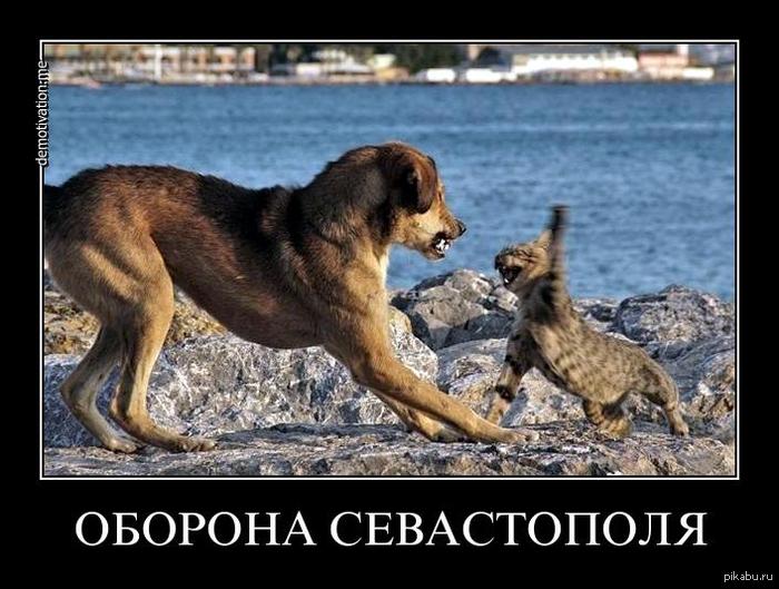 Оборона Севастополя | Пикабу