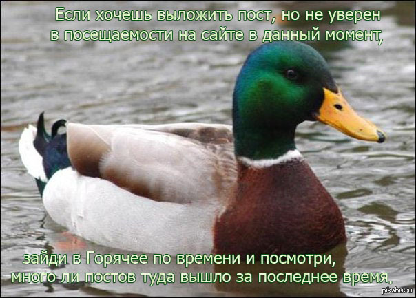 �������� ����� ����� ����