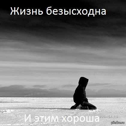 не смог найти картинку.Извините | Пикабу