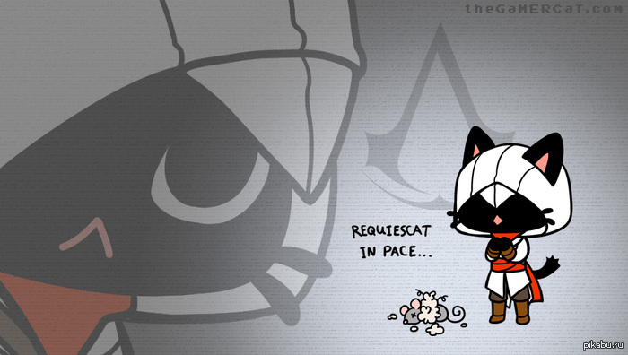 CATssassin wallpaper