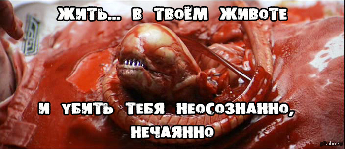 ���� ��������� � �������