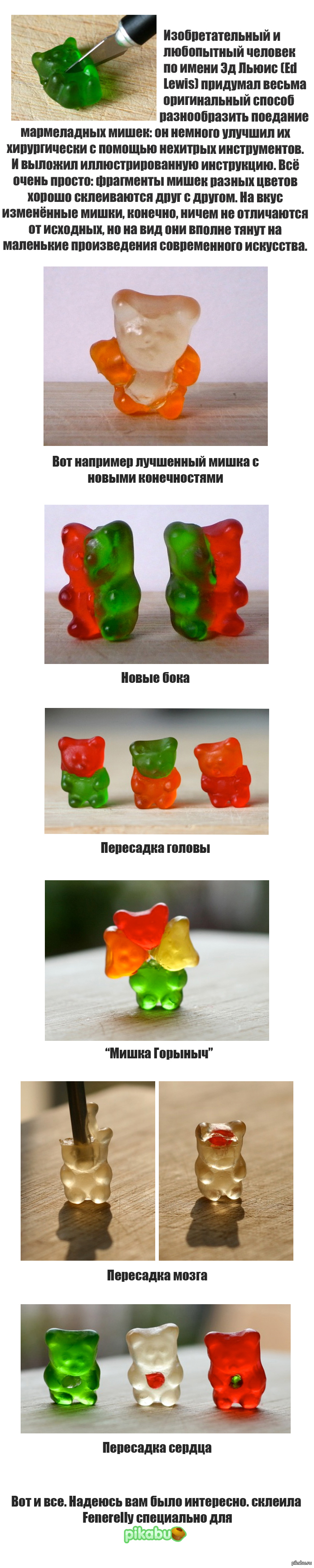 Необычный способ кушать мармеладных мишек (совсем немного длиннопост)