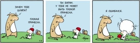 You are a sheep) - Comics, Rams, Прическа