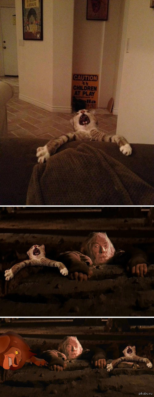 ����� �� ����