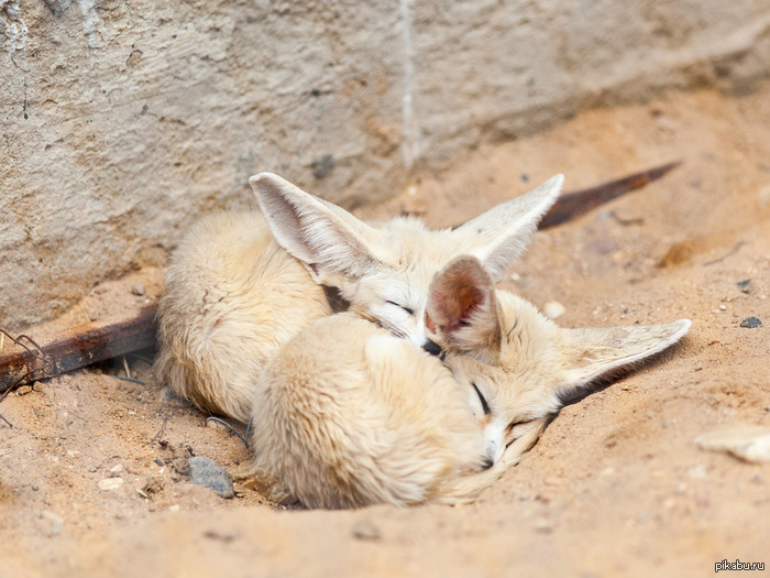 Экзотикпарк