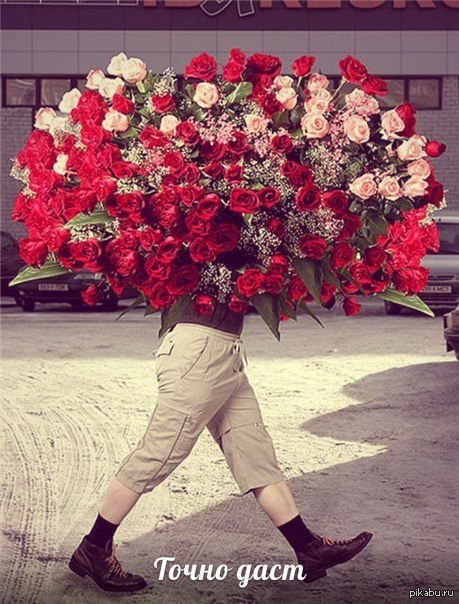 Простите ребят, прослоупочил ) | Пикабу