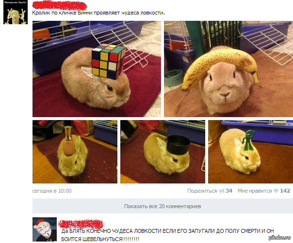 ������� � ��