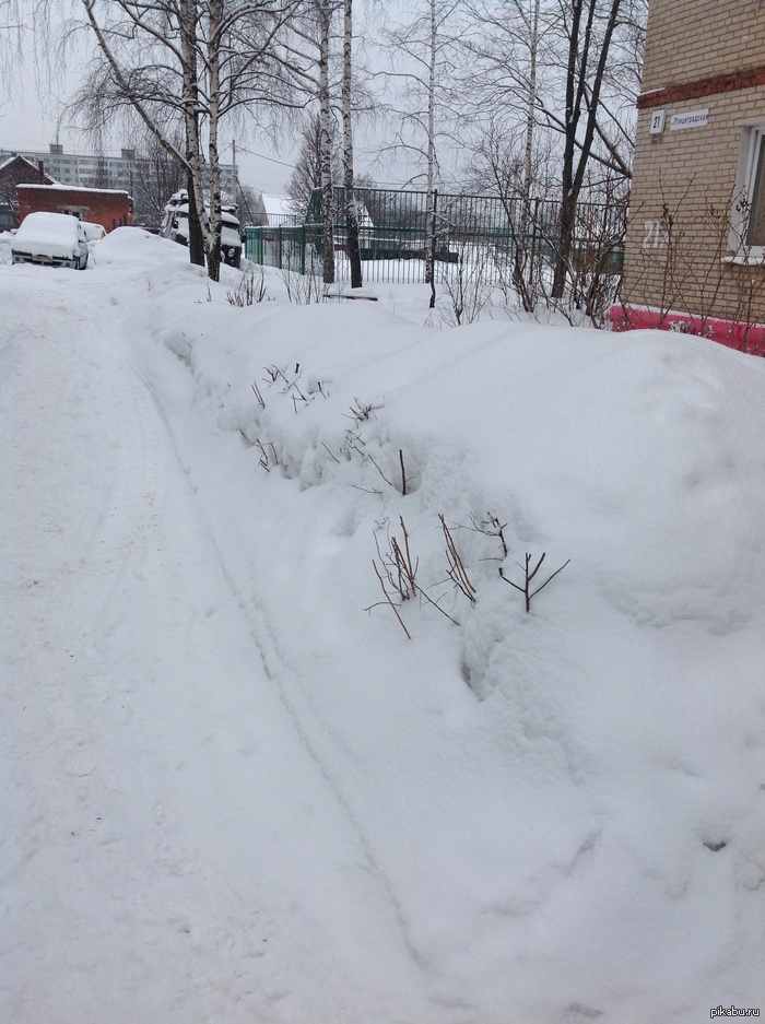 МАРТ!! Ты промазал? Еще недавно снега не было
