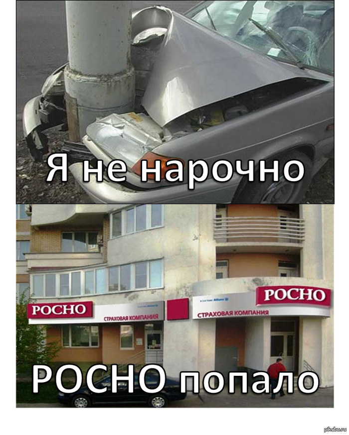 Земфира | Пикабу