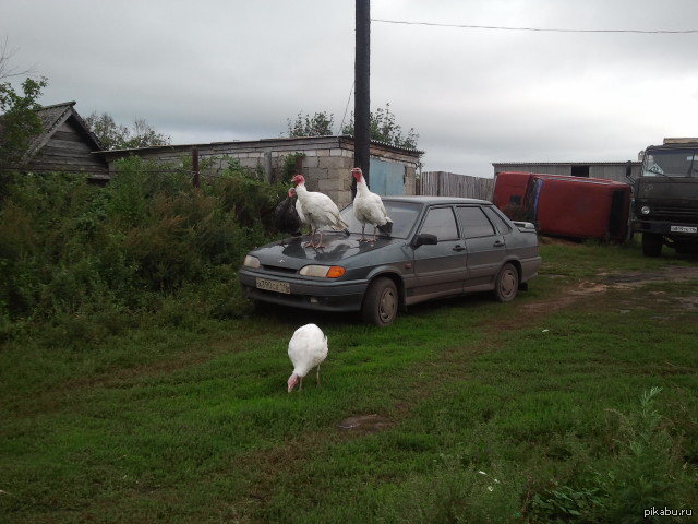 "Ведите себя естественно!"