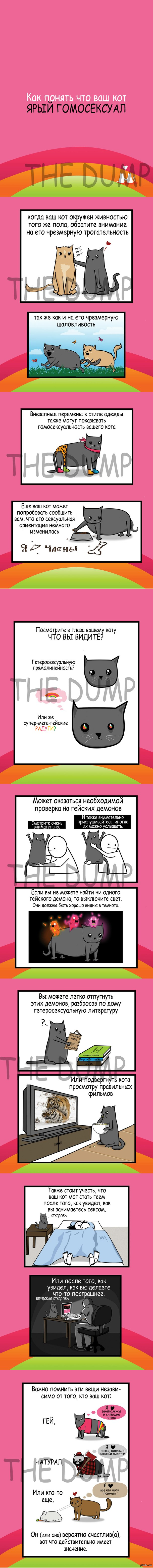 ��� ������ ��� ��� ��� ���� �����������