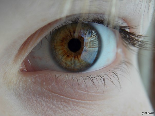 ����� ���� ������ ������ ����))