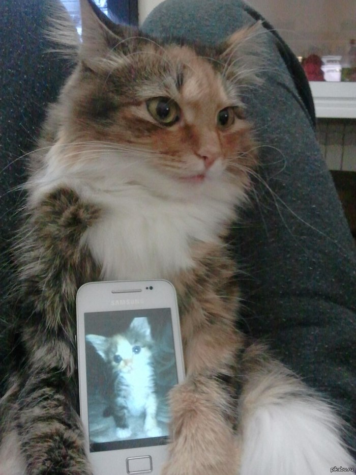 �� � �����...