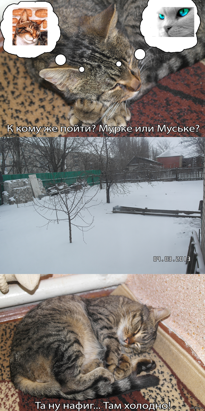 Куда же пойти?