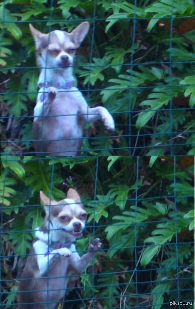 ����� � ������� ���������� �������.