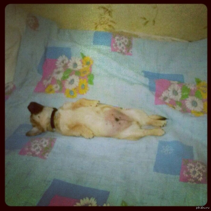 ������� ����.. �� �����...