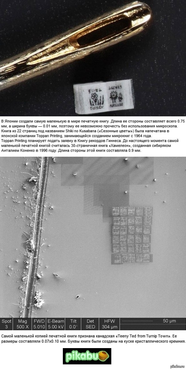 Cоздали самую маленькую в мире печатную книгу