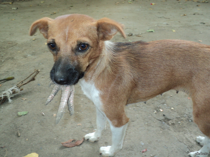 "� ��� ��� ����" :)