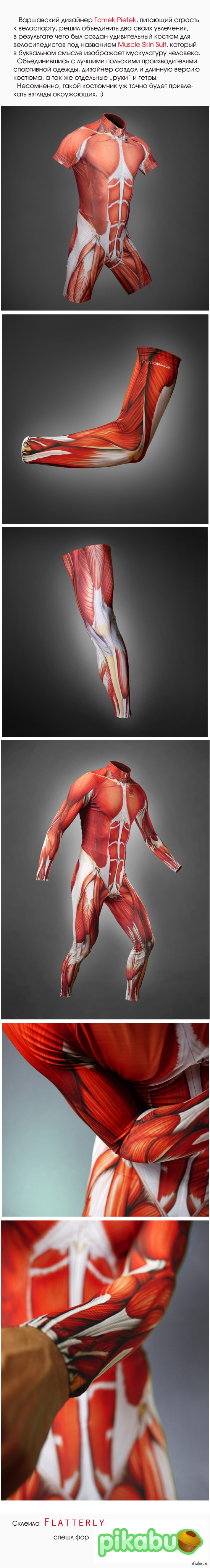 Muscle Skin Suit (Long Post!) - Cycling, Cloth, Design
