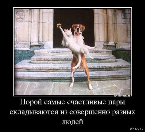 Правдюшечка