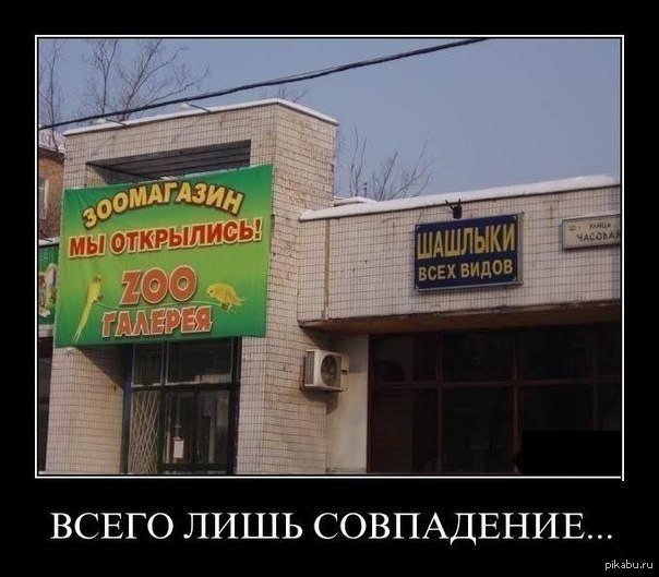 Just a coincidence... - NSFW, Shashlik, Animals