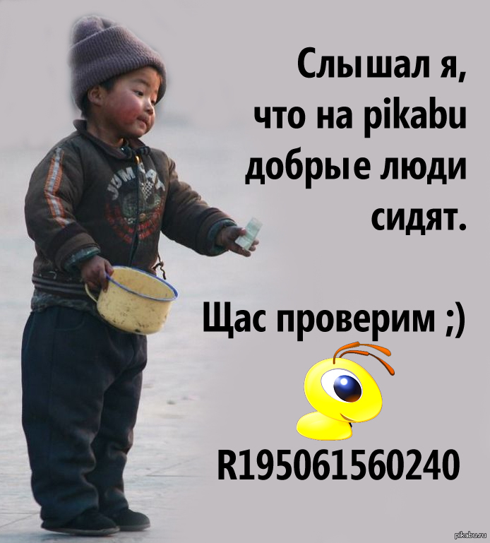 R195061560240 Z147184111238  R195061560240  U251284757026
