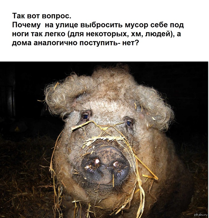 ��� ��� ���� ������� �� ���� ����, ��� ������� ����.