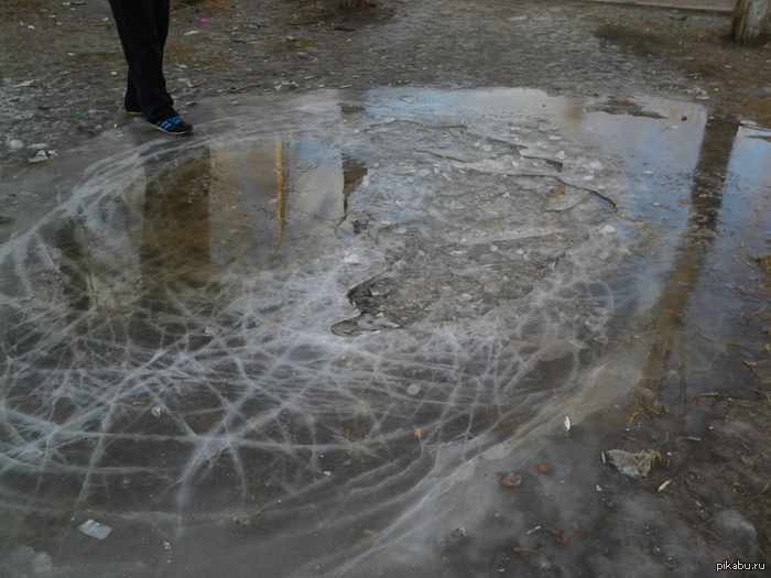 ��� ����� ������ ���� ������, ���� ����� ���� 20 ���?