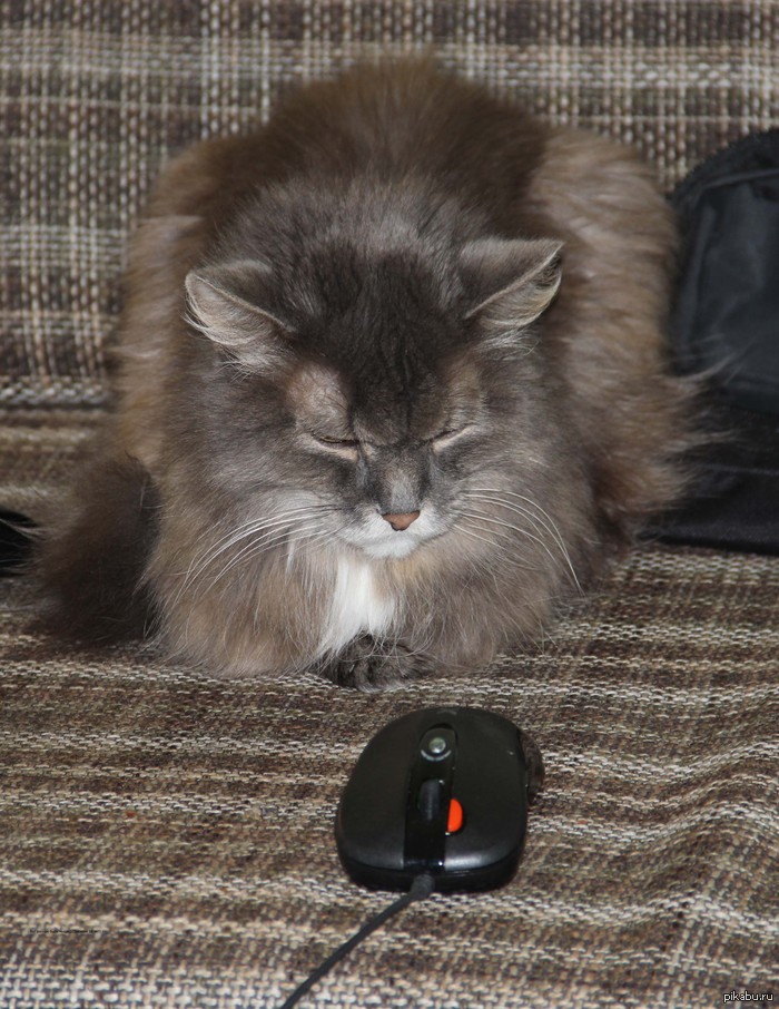 - ���� ��� �� ��. ��� � ��� �����... (��� �������, 18 ���)